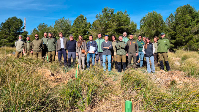 El Govern finalitza amb èxit la primera fase de reforestació al Parc Natural de la Península de Llevant, amb més de 20.000 arbres plantats