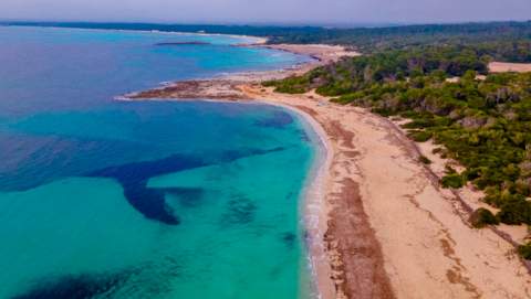 El Govern vol rebaixar la protecció d’Es Trenc-Salobrar permetent modificar-la per decret
