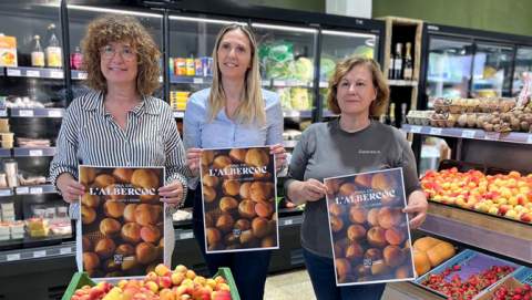 Porreres ja es prepara per viure una nova edició de la Fira de s’Albercoc 2026!