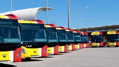 Els animals de companyia podran viatjar als autobusos del TIB de Mallorca a partir del diumenge 7 de juny