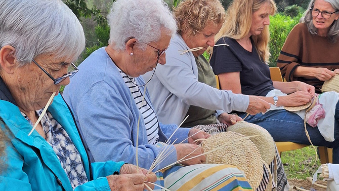 El Govern continua impulsant l’aprofitament tradicional del garballó a les finques públiques del Parc Natural de la Península de Llevant