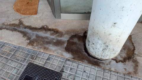 Manacor, un municipi convertit en un urinari caní a cel obert