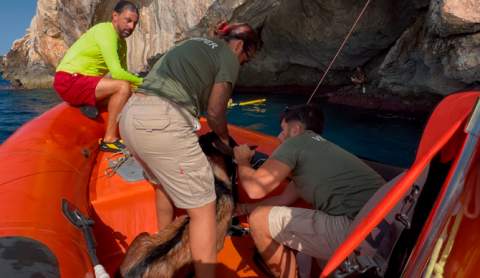 Safari Mallorca i Servei de Salvament i Socorrisme de Manacor participen en el complicat rescat d'un boc autòcton, especie protegida, en una cova costanera de Cala Magraner