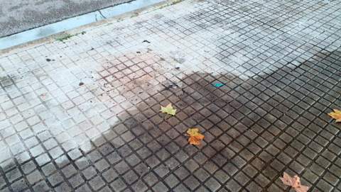 Morta la paperera, morta la problemàtica